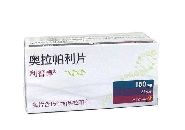 利普卓（奥拉帕利片） 图 2